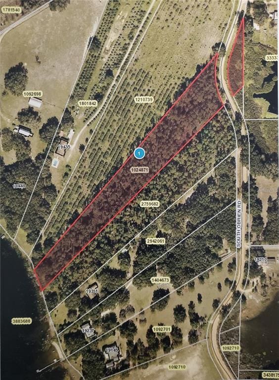 S Obrien Rd, Groveland FL, 34736 land for sale