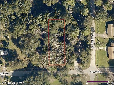 Grant Ave, Eustis FL, 32726 land for sale