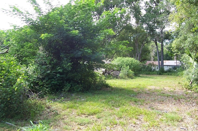 Listing photo 3 for Grant Ave, Eustis FL 32726