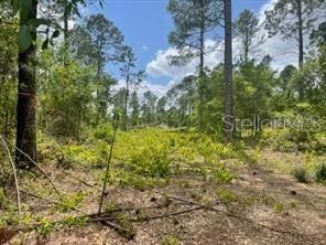 S Obrien Rd, Groveland FL, 34736 land for sale