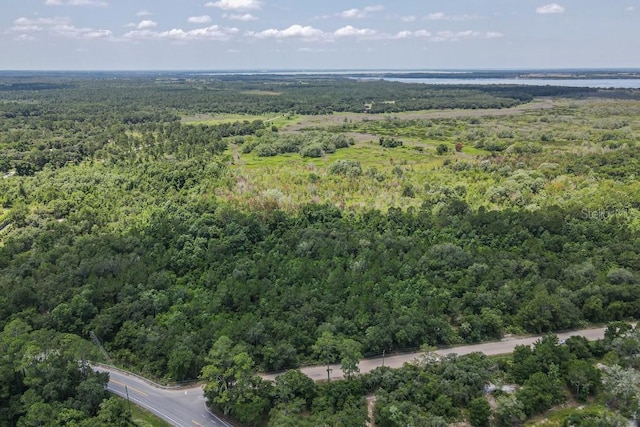 view of bird's eye view