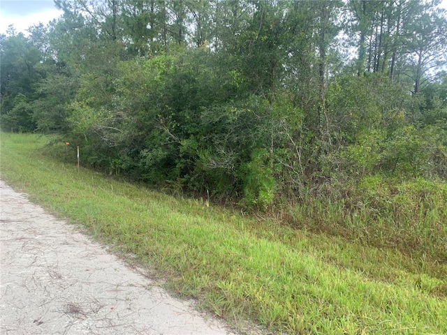 Listing photo 2 for TBD Otter Dr Lot 44, Webster FL 33597