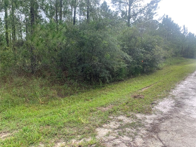 Listing photo 3 for TBD Otter Dr Lot 44, Webster FL 33597