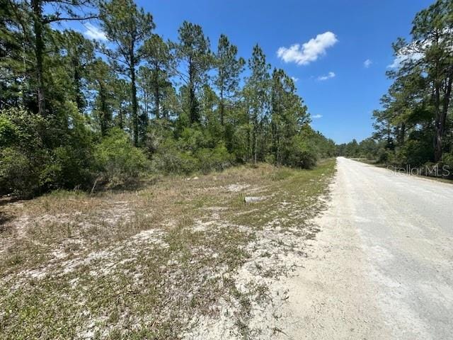 TBD Otter Dr Lot 44, Webster FL, 33597 land for sale