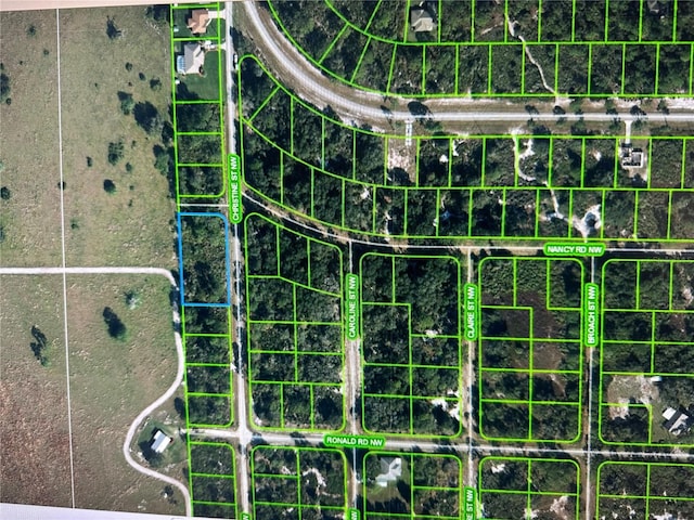 316 Christine St NW, Lake Placid FL, 33852 land for sale