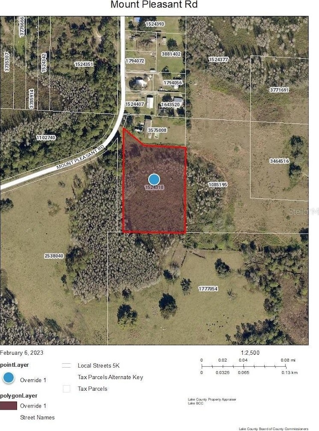 Mount Pleasant Rd, Groveland FL, 34736 land for sale