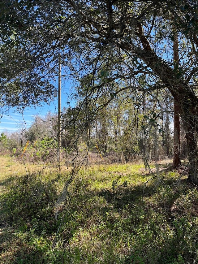 Listing photo 2 for Mount Pleasant Rd, Groveland FL 34736