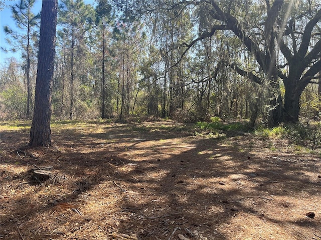 Listing photo 3 for Mount Pleasant Rd, Groveland FL 34736