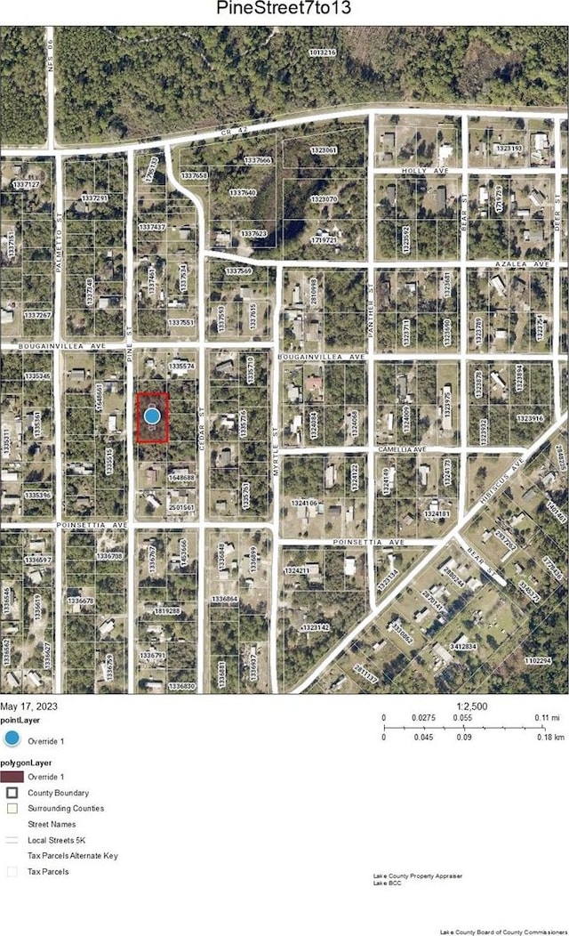 LOTS7-13 Pine St, Paisley FL, 32767 land for sale