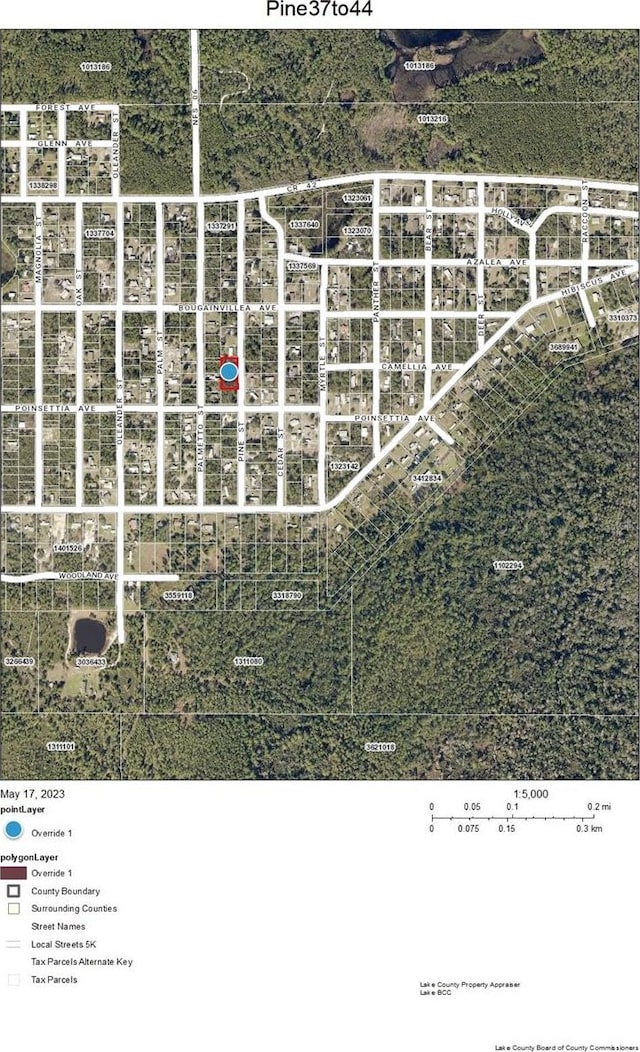 LOT37-44 Pine St, Paisley FL, 32767 land for sale