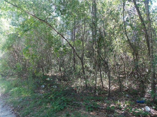 Listing photo 2 for LOT37-44 Pine St, Paisley FL 32767