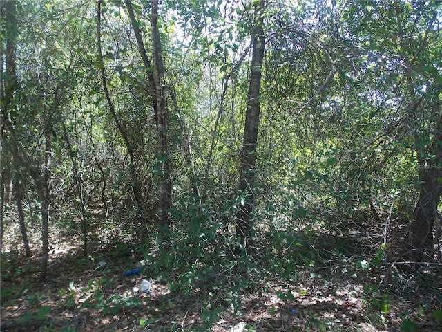 Listing photo 3 for LOT37-44 Pine St, Paisley FL 32767