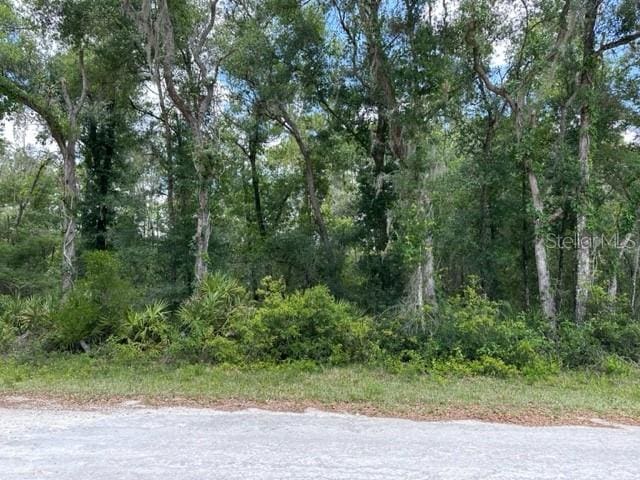 6471 Otter Dr, Webster FL, 33597 land for sale