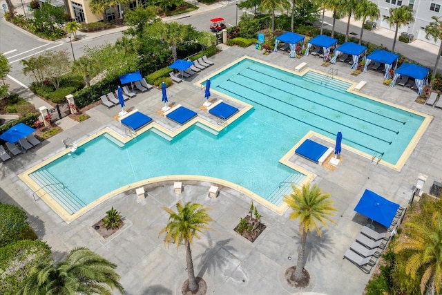 view of swimming pool featuring a patio area