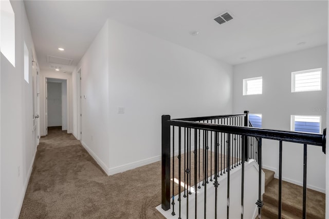 hallway with carpet