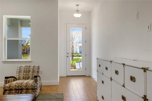 doorway to outside featuring a wealth of natural light and light hardwood / wood-style flooring