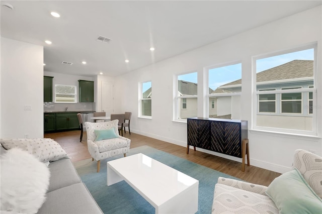 living room featuring dark hardwood / wood-style floors and sink