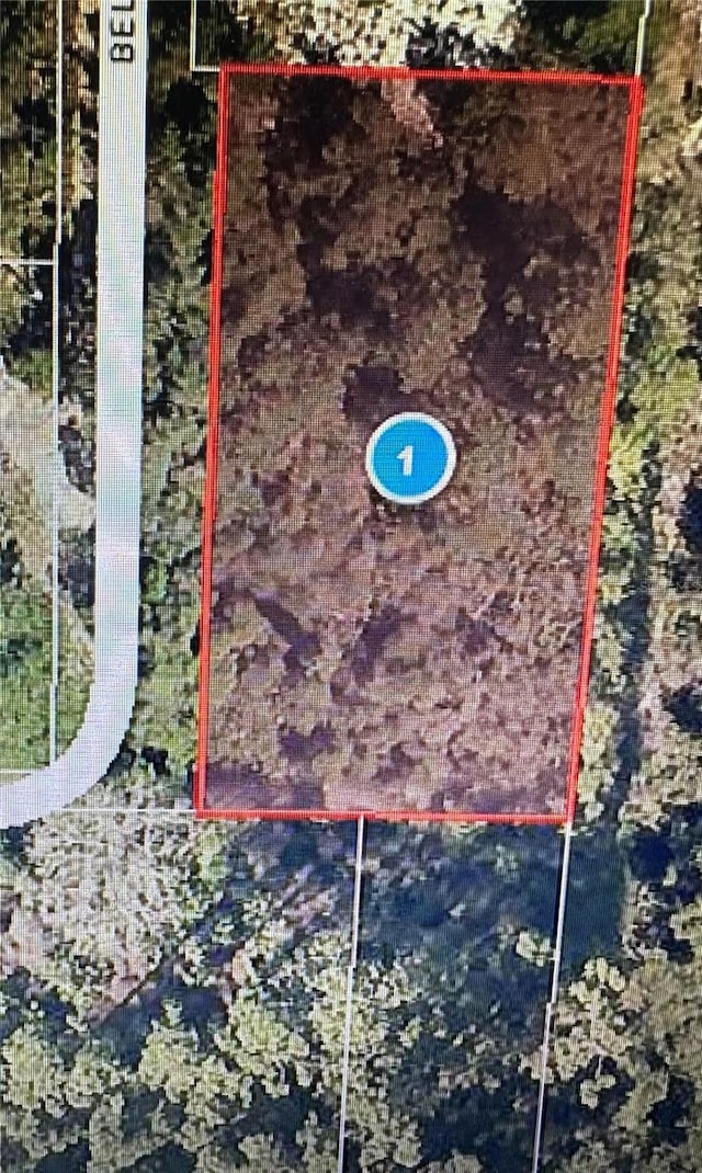 Belmont Ave, Leesburg FL, 34788 land for sale