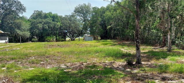 view of yard with a shed