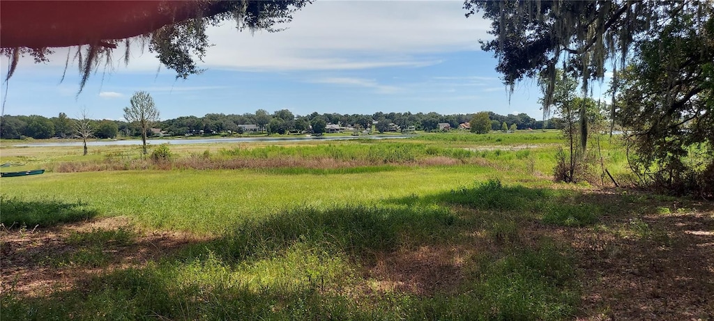 view of local wilderness