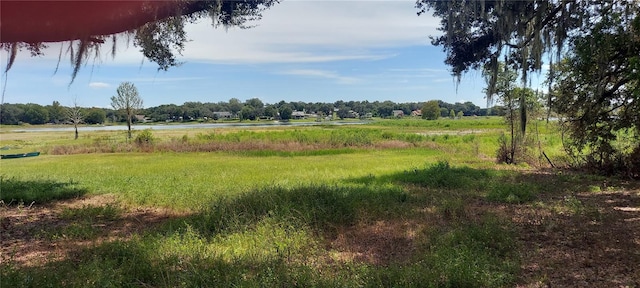 view of local wilderness