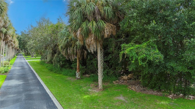 000 Lakeshore Pointe Blvd, Mount Dora FL, 32757 land for sale