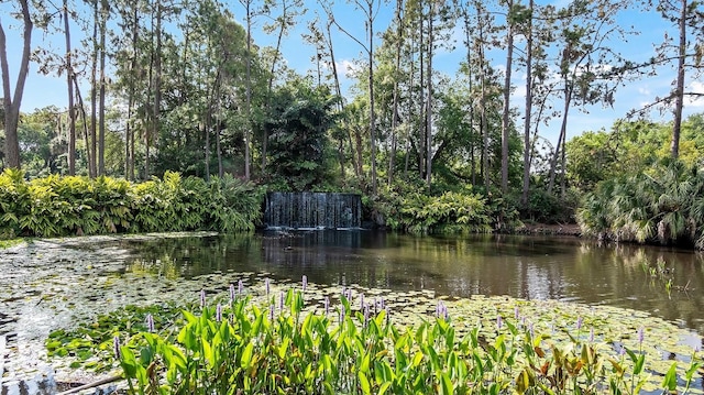 view of water feature