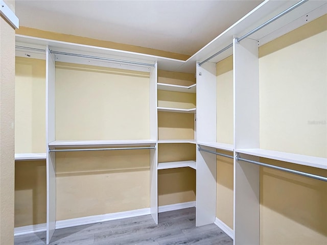 spacious closet featuring light wood-type flooring