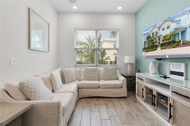 living room featuring light hardwood / wood-style flooring