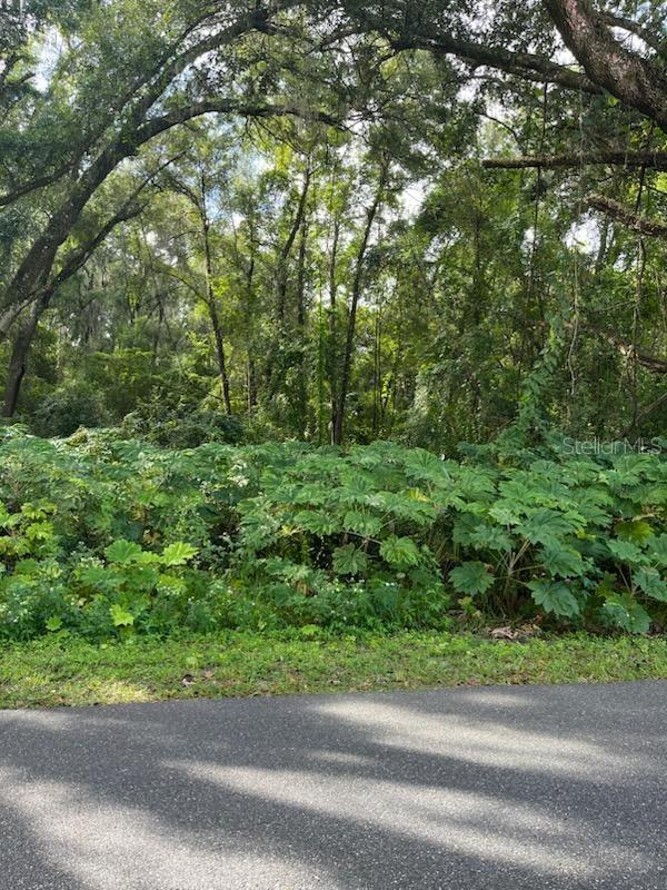 10th St, Webster FL, 33597 land for sale