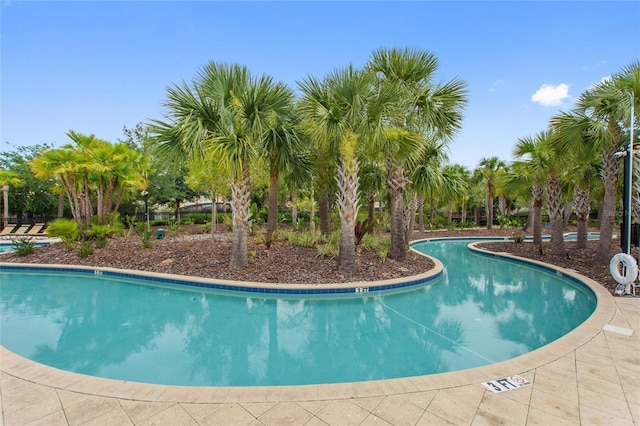 view of swimming pool