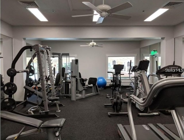 gym featuring ceiling fan