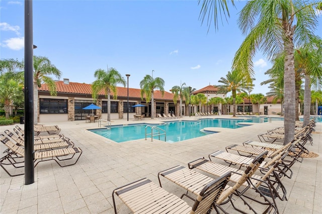 view of pool featuring a patio