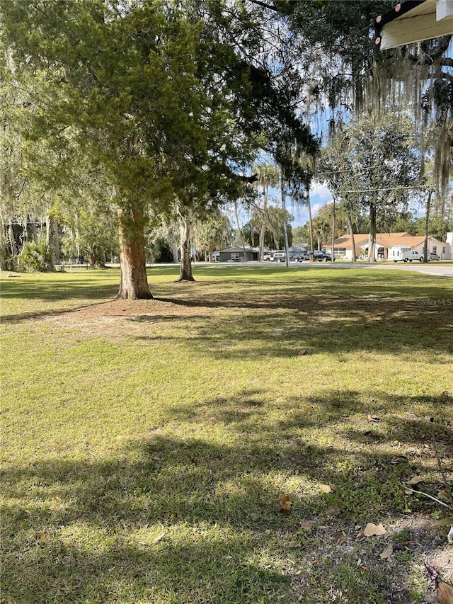 view of community with a yard