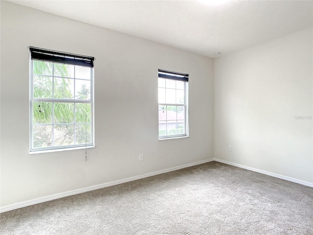 empty room featuring carpet flooring and a wealth of natural light