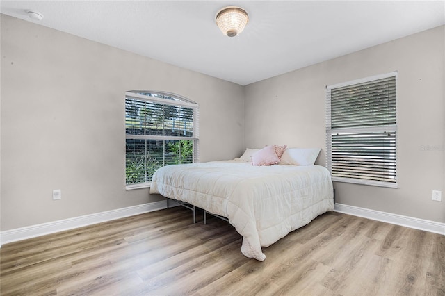 10120 Lakeshore Dr, Clermont, FL 34711 - bedroom with light wood-style flooring and baseboards