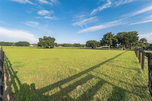 view of yard featuring a rural view