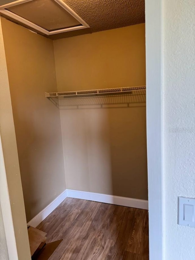 walk in closet with dark wood-type flooring