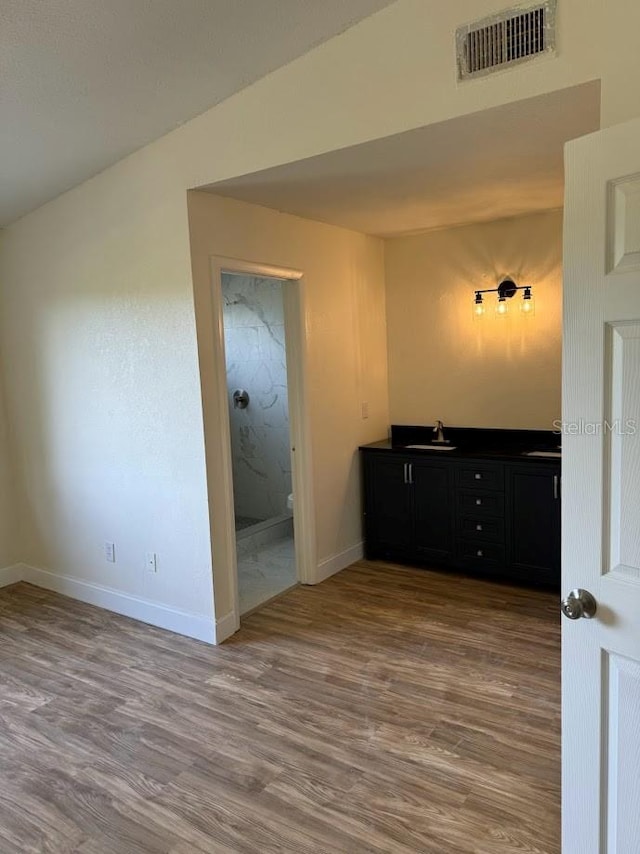 interior space featuring double vanity and wood-type flooring