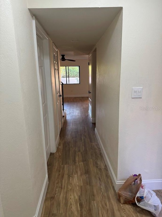 hall featuring dark hardwood / wood-style floors