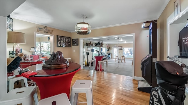 interior space featuring ornamental molding and light hardwood / wood-style floors