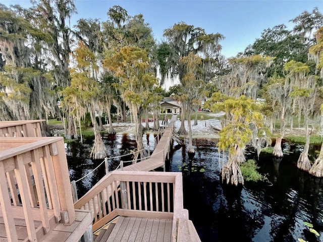 dock area with a water view