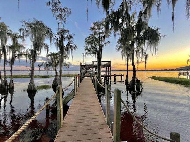 dock area with a water view