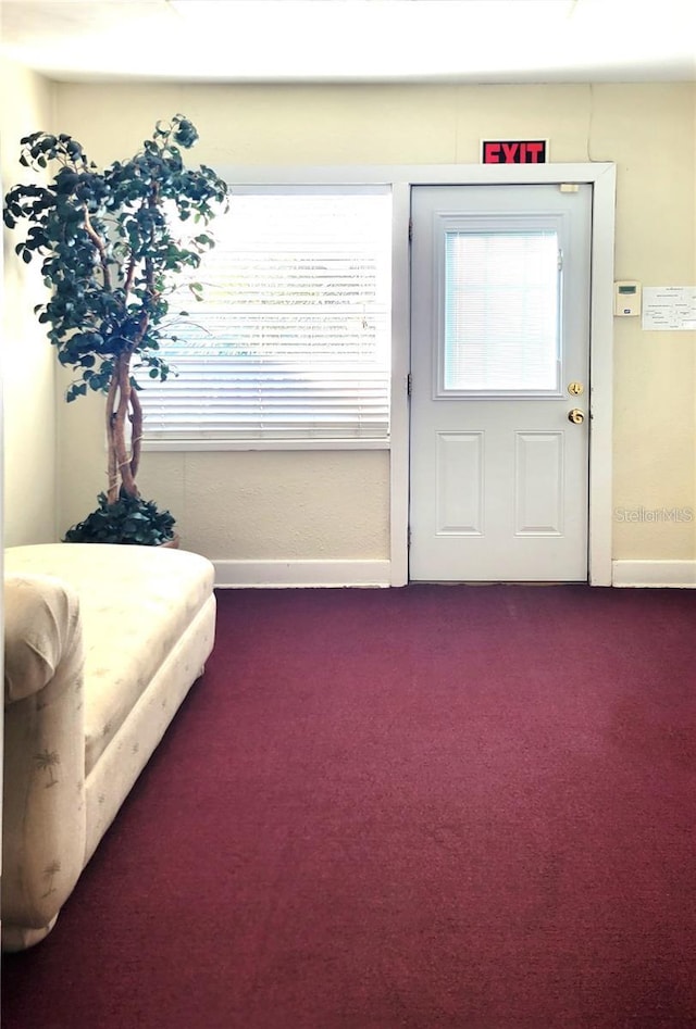 interior space with dark carpet