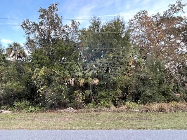 11631 W Timberlane Dr, Homosassa FL, 34448 land for sale