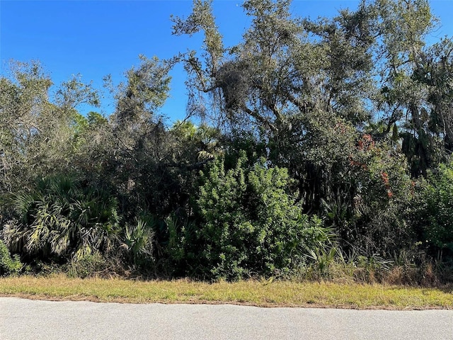 Listing photo 3 for TBD Bannock Cir, North Port FL 34288