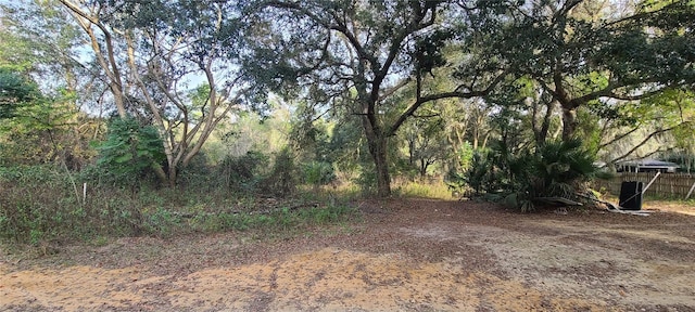 17205 SE 252nd Ave, Umatilla FL, 32784 land for sale