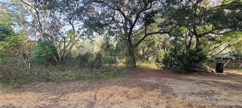 17205 SE 252nd Ave, Umatilla, FL 32784 - photo 1