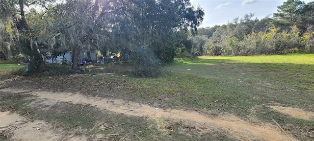 17120 SE 251st Ter, Umatilla, FL 32784 - photo 1