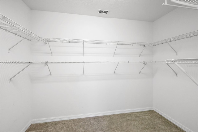 spacious closet with carpet